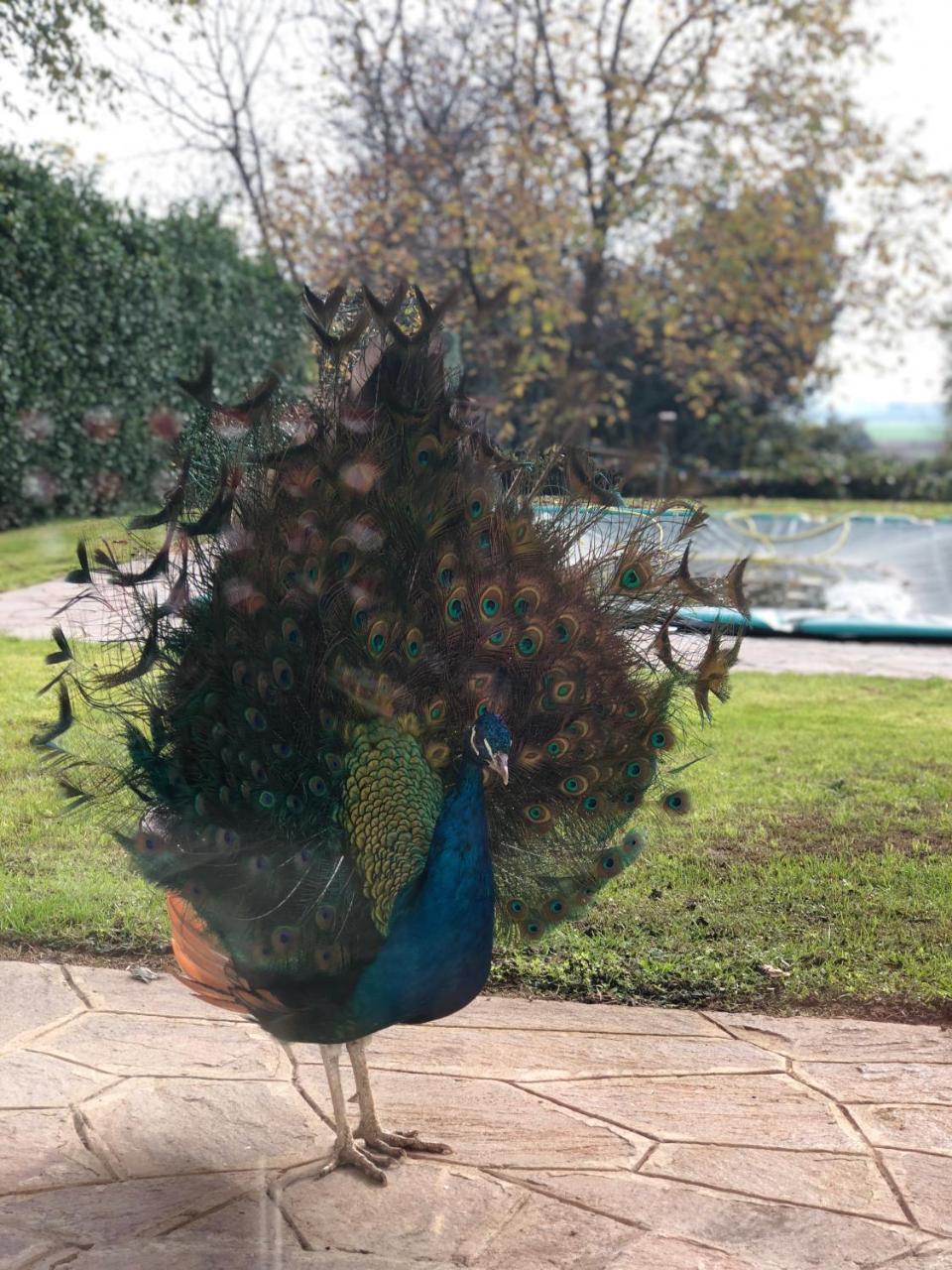 "Ai 4 Soli" Cermenate Exterior foto